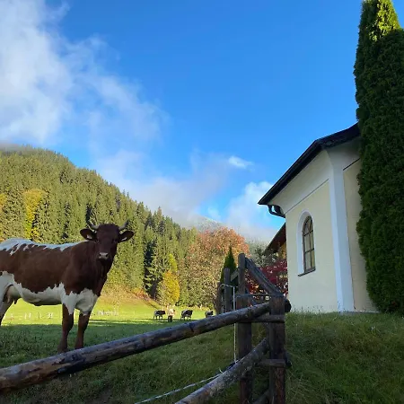 Moabauer * 바그라인