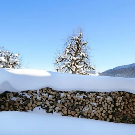 Alloggio per agriturismo Moabauer Wagrain