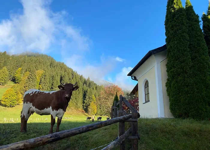 Moabauer * 瓦格赖恩