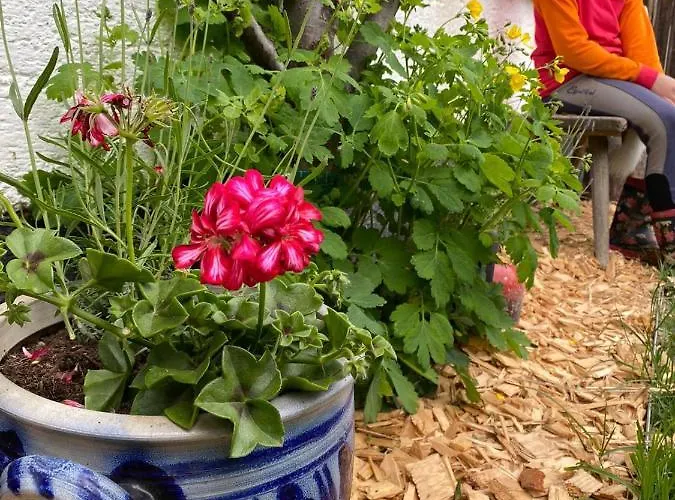 Moabauer 瓦格赖恩