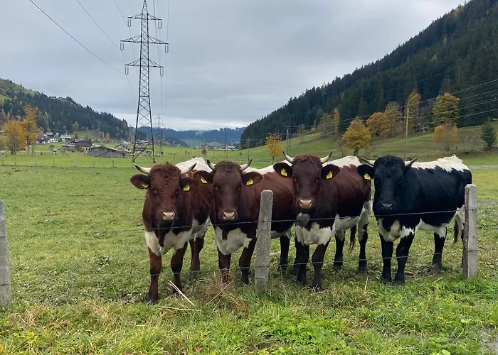 Moabauer 瓦格赖恩