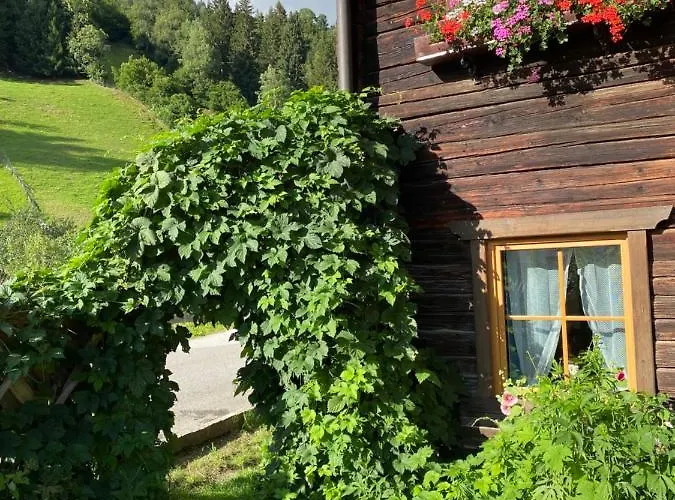 Moabauer Farma Wagrain